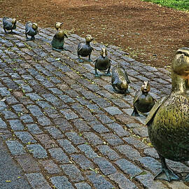 Make Way For Ducklings # 2 - Boston by Allen Beatty