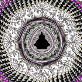 Mandelbrot Set Fractal crochet by Matthias Hauser