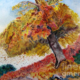Maple on the Ridge by Sandy McIntire