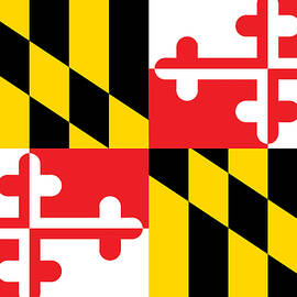 Maryland State Flag by American School
