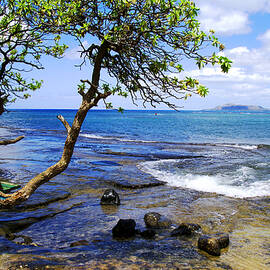 Maunalua Bay by Kevin Smith