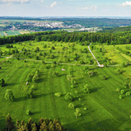 Meadow with trees green nature Braunaecker Germany by Matthias Hauser