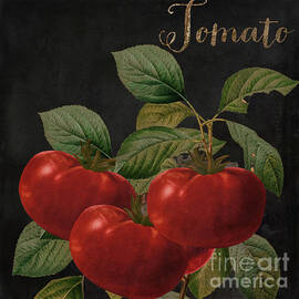 Medley Tomato by Mindy Sommers