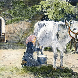 MILKING, 19th CENTURY by Granger