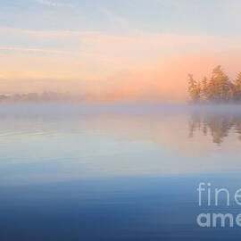 Mist At Dawn by Charline Xia