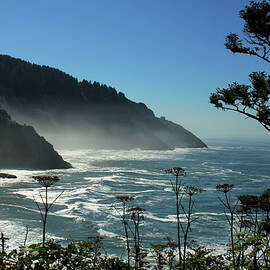 Misty Coast at Heceta Head