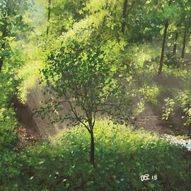 Misty Green Ravine by Tom Greenslade