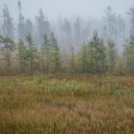 Misty Landscape by Patti Deters