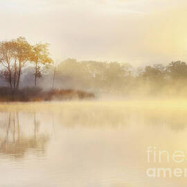 Misty Sunrise Loch Ard by Janet Burdon
