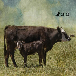 Moo