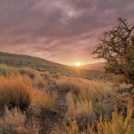 Moody Summer Sunset in the High Desert of Nevada with Sagebrush and Tall Grass by Brian Ball