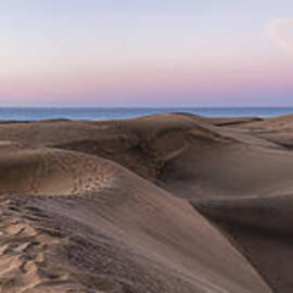 Moonrise by Simon Bradfield