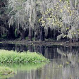 Myakka River Bend