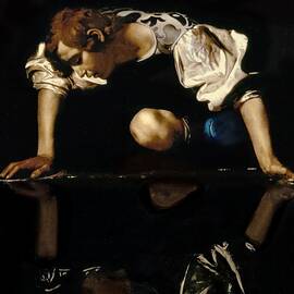 Narcissus