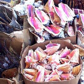 Nassau Market conch shells by Charlene Cox