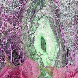 Nature Erotica 1