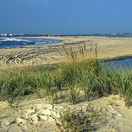 New Jersey Inlet 