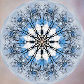 New Year Mandala - by Julie Weber