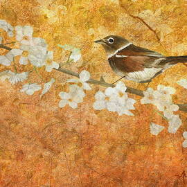 Nightingale's Solstice by Angeles M Pomata