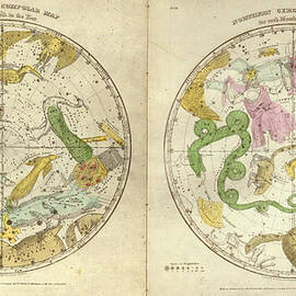 Northern and Southern Circumpolar Map - Map of the Sky - Celestial Map - Antique Map