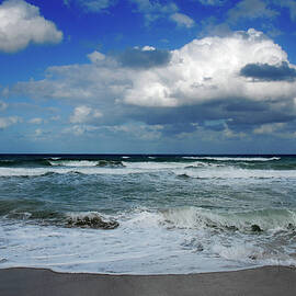 Ocean  by Harry Spitz