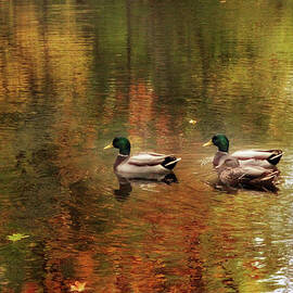 October Swim by Jessica Jenney