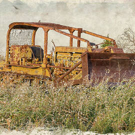 Old Cat Watercolor by Ricky Barnard