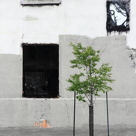 on the contemplation of tree  by Kreddible Trout