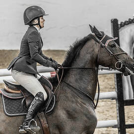 Only Us Only One by Betsy Knapp