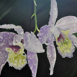 Orchid Jewels by AnnaJo Vahle