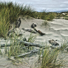 Oregon Dunes by Bonnie Bruno