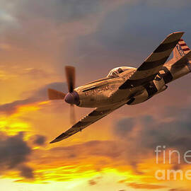 P-51 Fragile but Agile by Airpower Art