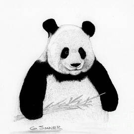 Panda by George Sonner