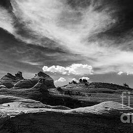 Paria Rimrocks Toadstool Hoodoos by Priscilla Burgers