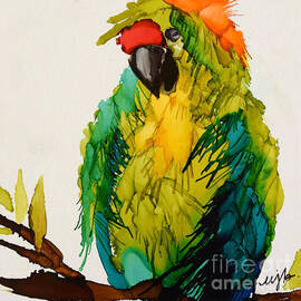 https://render.fineartamerica.com/images/images-new-artwork/images/artworkimages/medium/1/parrot-bay-marla-beyer.jpg
