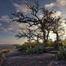 Pathway On Top Of Enchanted Rock by Todd Aaron