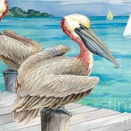 https://render.fineartamerica.com/images/images-new-artwork/images/artworkimages/medium/1/pelican-sails-paul-brent.jpg