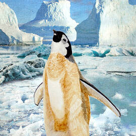 Penguin Chick In The Arctic by Angeles M Pomata
