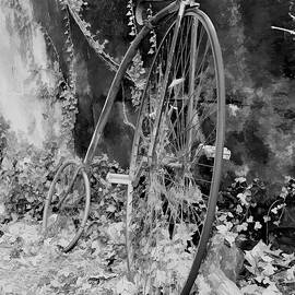 Penny farthing high wheel bicycler  v2 by John Straton