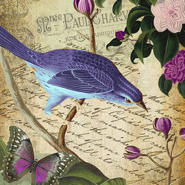 Petals and Wings IV by Mindy Sommers