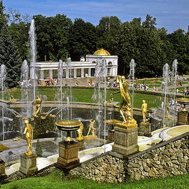 Peterhof Gardens by Sally Weigand