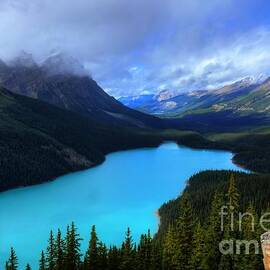 Peyto Lake Banff National Park Majestic Beauty by Wayne Moran