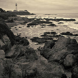 Pigeon Point Lighthouse Toned by David Gordon
