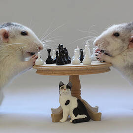 Playing  Chess! by Ellen Van Deelen