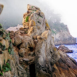 Point Lobos in Fog by Terry Davis