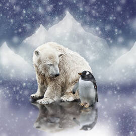 Polar Bear Meets Penguin by Ethiriel Photography