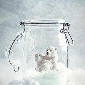 Polar Bear Snowglobe by Amanda Elwell