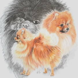 Pomeranian Revamp by Barbara Keith