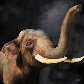 Portrait of an Elephant by Daniel Eskridge