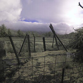 Post Storm by Chriss Pagani